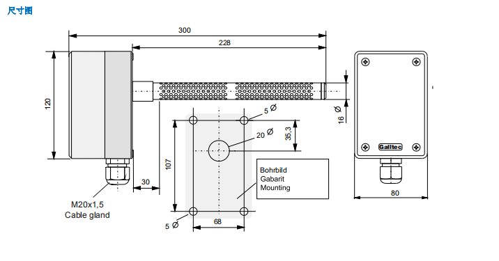 蓋加美Galltec+mela TFG80濕度溫度傳感器批發(fā)